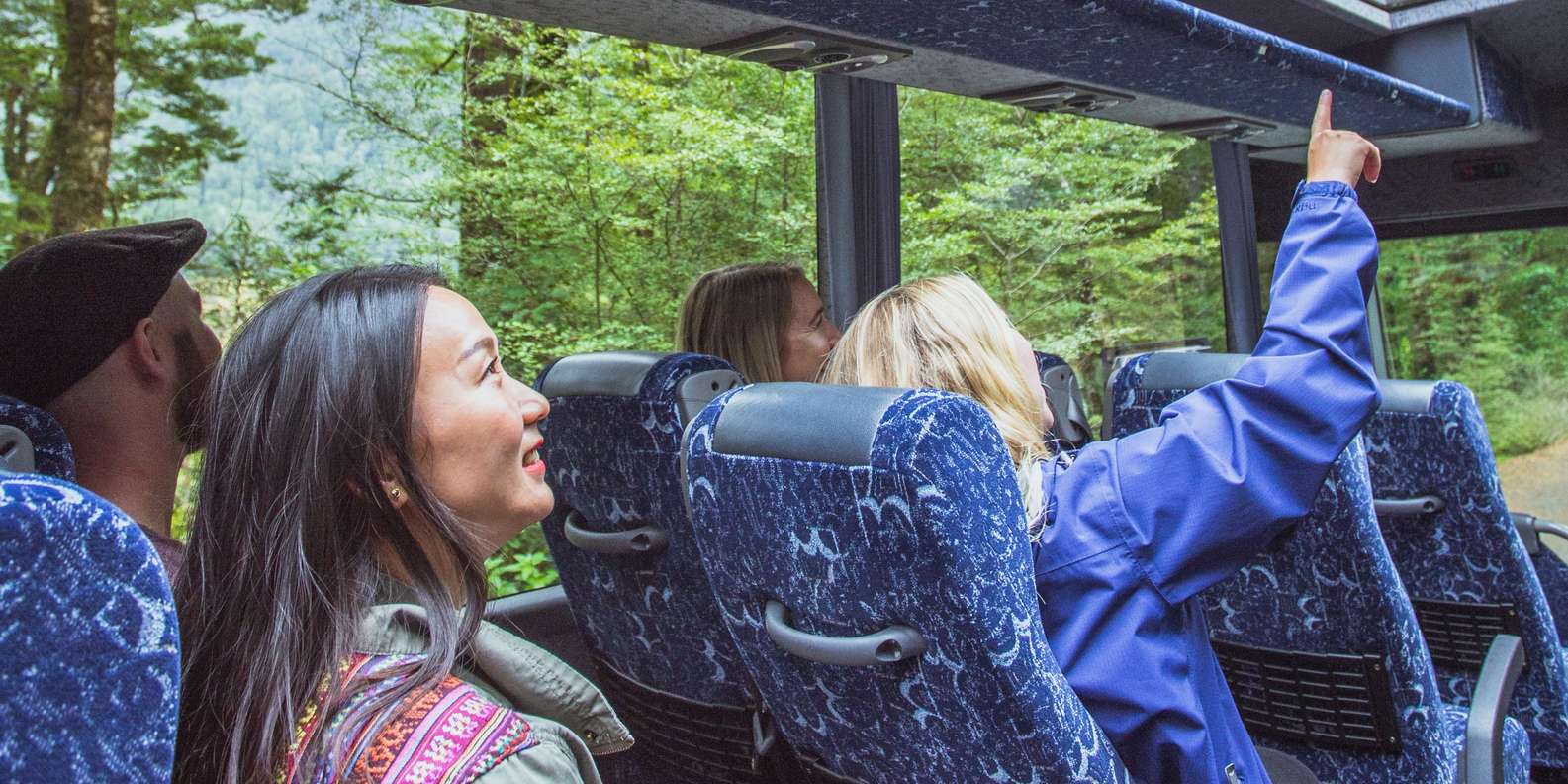 Coach journey through Fiordland National Park on the way to Milford Sound