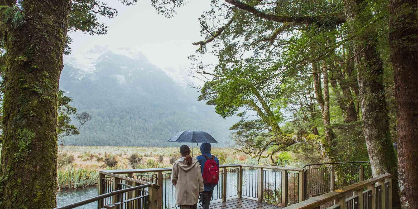 Milford Sound cruise with Mitre Peak towering above the fiord