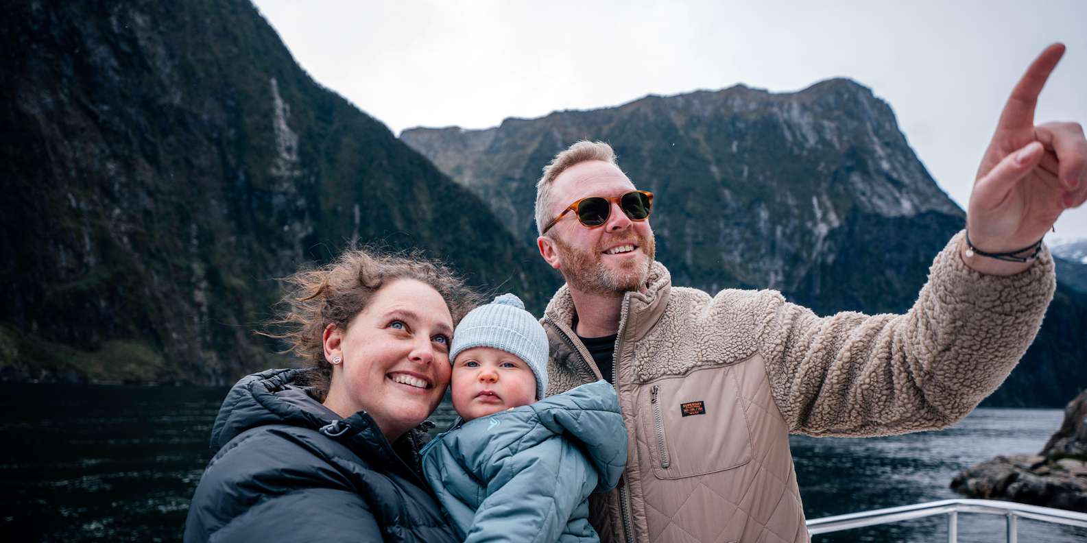 Fur seals on rocks in Milford Sound fiord