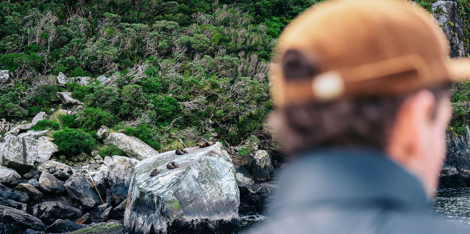 Breathtaking Milford Sound scenery showing why the cruise is worth it