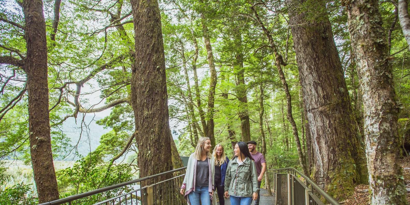 Waterfalls streaming down cliffs on the Milford Sound day cruise